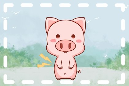 屬豬人姻緣財運解析 生肖豬命中有緣的人是誰