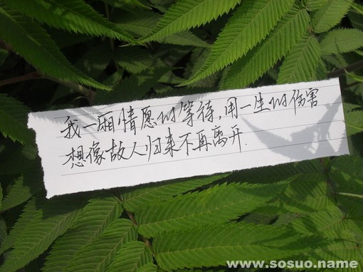 白羊座2018年9月23日整体运势