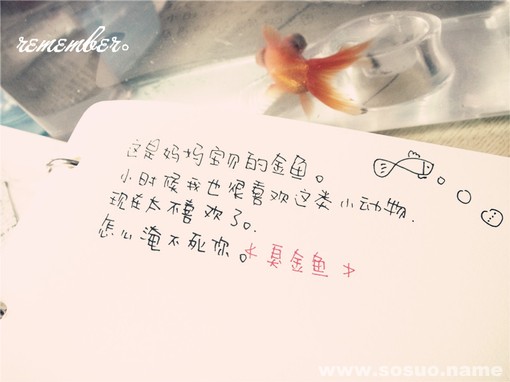 白羊座2019年7月22日整体运势
