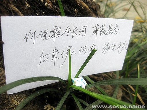巨蟹座2019年3月27日整体运势