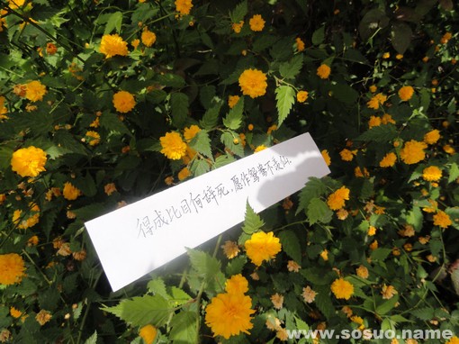 天秤座2019年5月27日整体运势