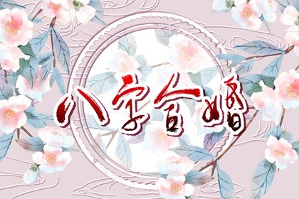 戊子日柱論命 運勢詳解