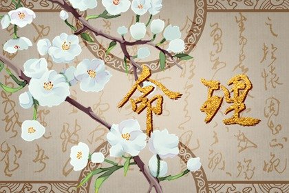 乙未沙中金是什麽命 晚年可聚財興隆