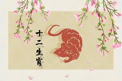 屬鼠出生年份表 幾月最好