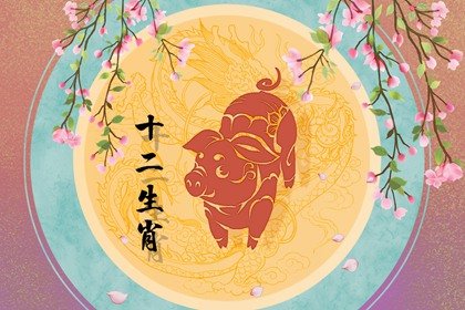 屬豬人是什麽命運  幾月最好