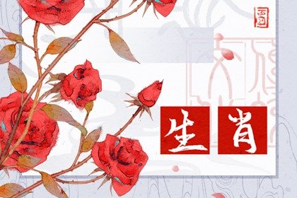 生肖屬兔最好的結婚年齡 最佳婚配是誰呢