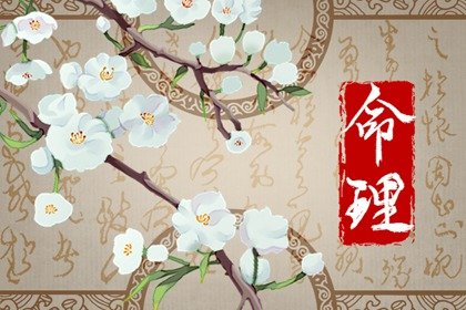 八字命理  丁醜日生於巳時 巳時出生富足吉利