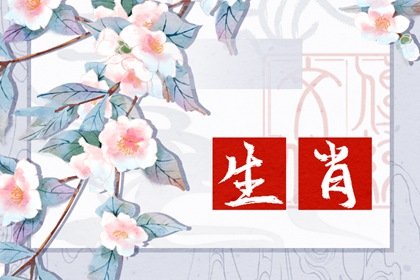 生肖猴2022年會復婚嗎 婚姻運勢怎麽樣