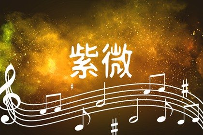 紫微鬥數分析適合的職業 紫微星坐守官祿宮從事公職行業