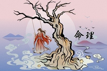 己醜日柱女命命運詳解  己醜日柱女命好不好