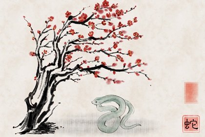 生肖蛇從今年幾月開始,小龍變真龍,福祿滿屋