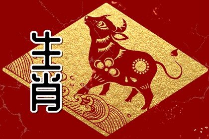 天上掉財，地上生金 屬牛人：在哪三個年齡段“最有錢”