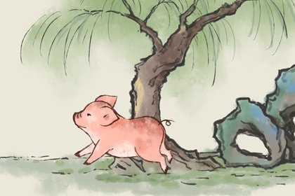 生肖豬是哪幾年出生的 豬年是怎麽計算來的