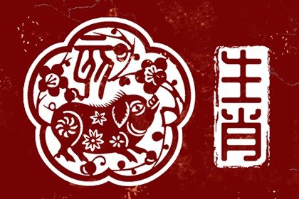 71年屬豬中晚年運勢詳情分析，是安享晚年的命嗎