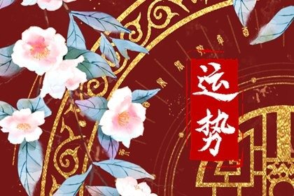 唐立淇 12星座一週運勢2023.10.02—10.08